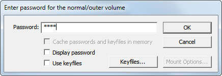 truecrypt password