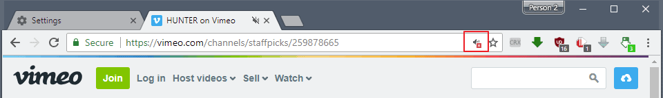 sound was muted chrome