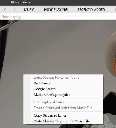 LyricsReloaded is a plugin for Musicbee that adds a lot of lyrics sources