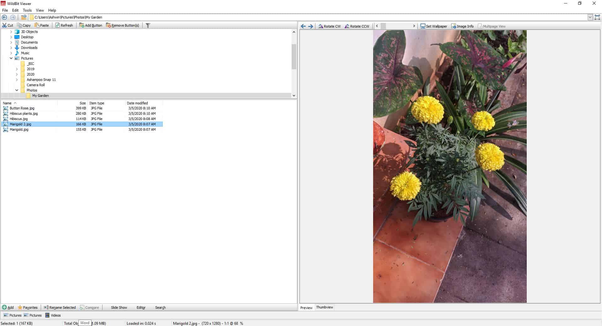 WildBit Viewer Tools Preview