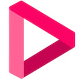 Video Downloader professional