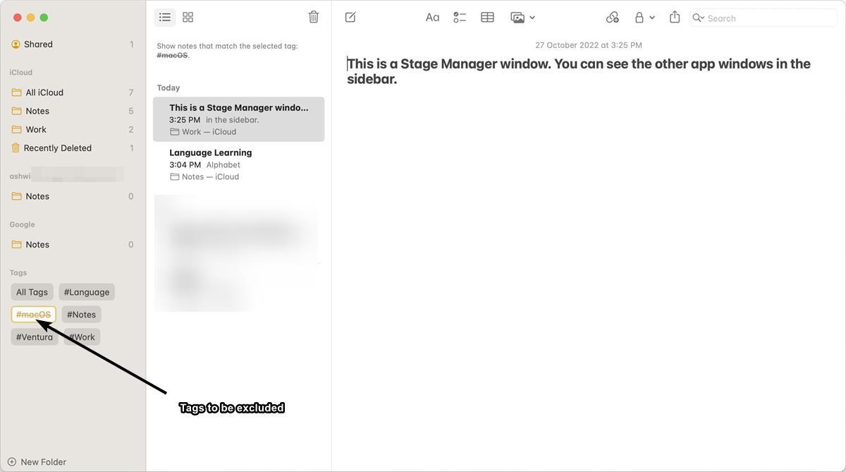 macOS 13 Ventura Notes app Tags to be excluded