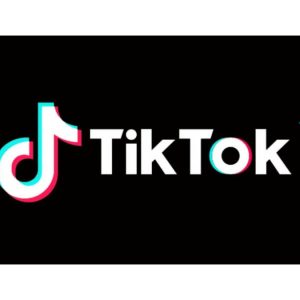 TikTok Search