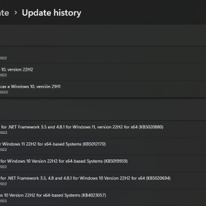 Windows 11 update brings certain translation issues and other problems