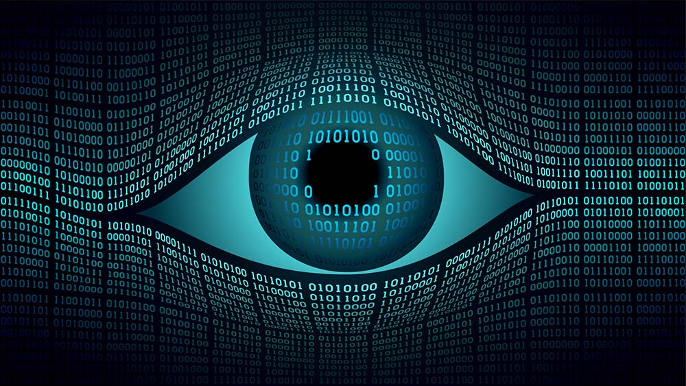 Peekaboo! Does Big Brother Microsoft see you on Windows 11?