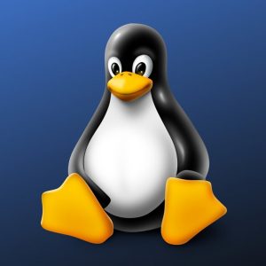 The newest Linux 6.2 includes M1 chip support for Mac users, but it is still not fully functional, finished, or ready for primetime use. 