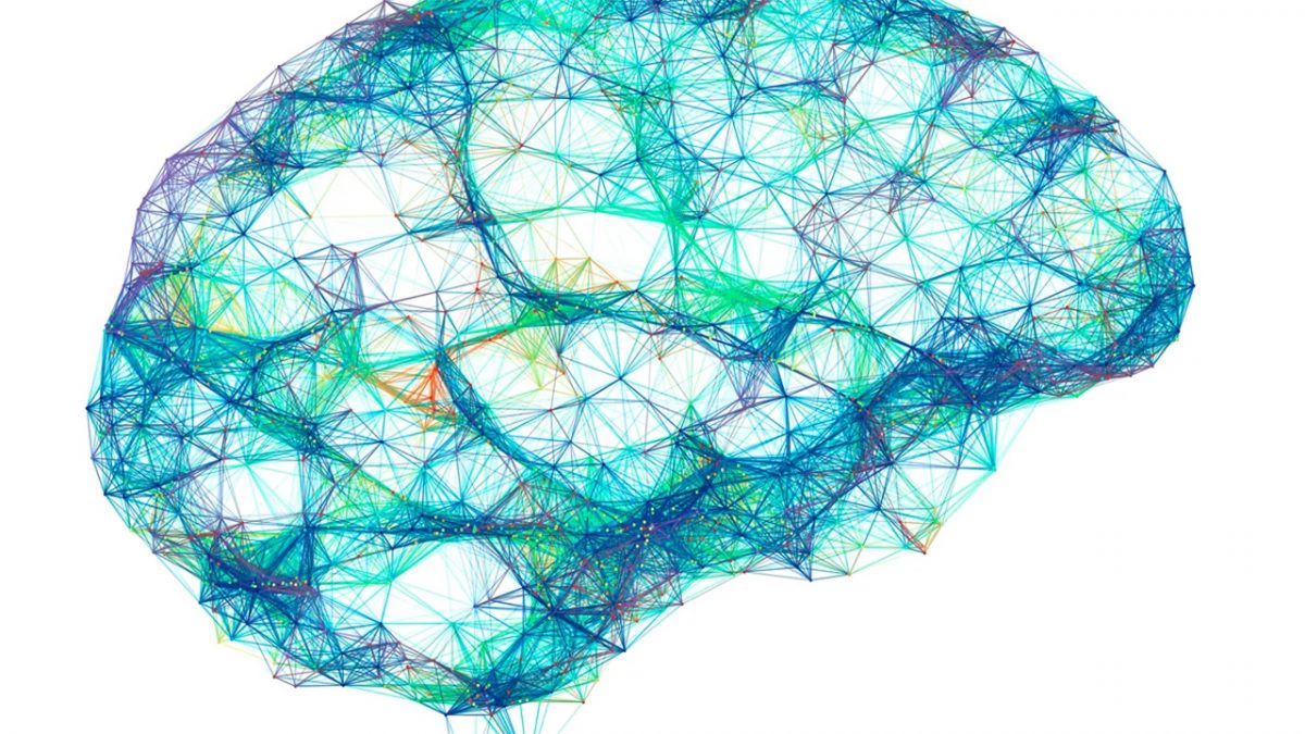 Scientists Use AI to Reconstruct Images from Brain Activity