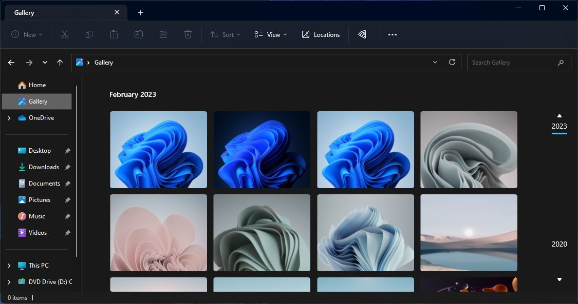 Windows 11 WinUI 3 File Explorer Gallery View
